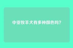 中亚牧羊犬有多种颜色吗？