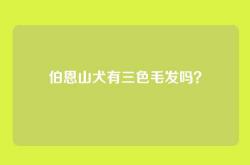 伯恩山犬有三色毛发吗？