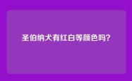 圣伯纳犬有红白等颜色吗？