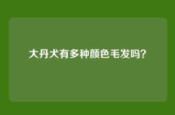 大丹犬有多种颜色毛发吗？