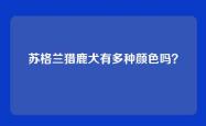苏格兰猎鹿犬有多种颜色吗？
