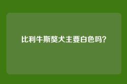 比利牛斯獒犬主要白色吗？