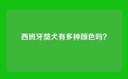 西班牙獒犬有多种颜色吗？