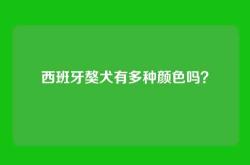 西班牙獒犬有多种颜色吗？