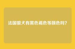法国狼犬有黑色褐色等颜色吗？
