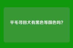平毛寻回犬有黑色等颜色吗？
