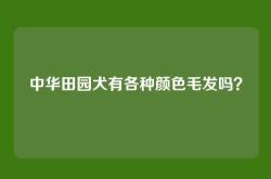 中华田园犬有各种颜色毛发吗？
