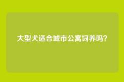大型犬适合城市公寓饲养吗？