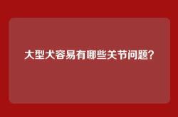大型犬容易有哪些关节问题？