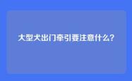 大型犬出门牵引要注意什么？