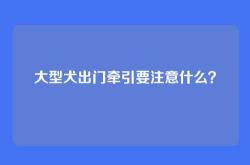 大型犬出门牵引要注意什么？