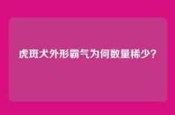 虎斑犬外形霸气为何数量稀少？