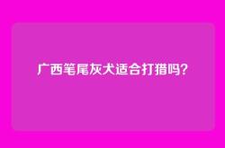 广西笔尾灰犬适合打猎吗？
