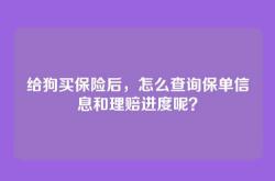 给狗买保险后，怎么查询保单信息和理赔进度呢？