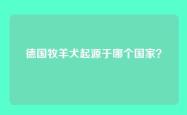 德国牧羊犬起源于哪个国家？