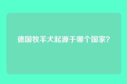 德国牧羊犬起源于哪个国家？