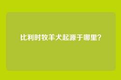 比利时牧羊犬起源于哪里？