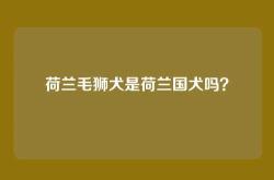 荷兰毛狮犬是荷兰国犬吗？