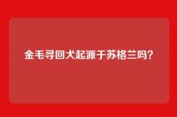 金毛寻回犬起源于苏格兰吗？