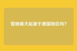 雪纳瑞犬起源于德国地区吗？