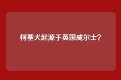 柯基犬起源于英国威尔士？