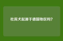 杜宾犬起源于德国地区吗？