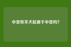 中亚牧羊犬起源于中亚吗？