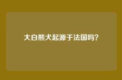 大白熊犬起源于法国吗？