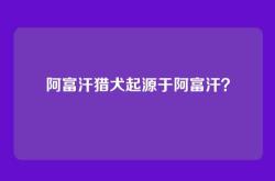 阿富汗猎犬起源于阿富汗？