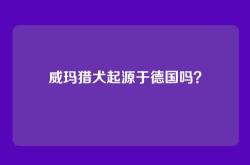 威玛猎犬起源于德国吗？