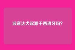 波音达犬起源于西班牙吗？