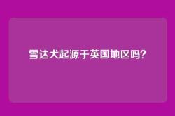 雪达犬起源于英国地区吗？