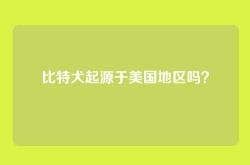 比特犬起源于美国地区吗？