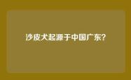 沙皮犬起源于中国广东？