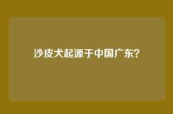沙皮犬起源于中国广东？