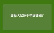 西施犬起源于中国西藏？