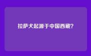 拉萨犬起源于中国西藏？