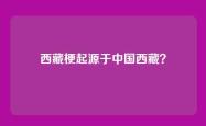 西藏梗起源于中国西藏？