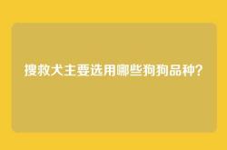搜救犬主要选用哪些狗狗品种？