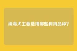 缉毒犬主要选用哪些狗狗品种？