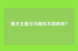 猎犬主要分为哪些不同种类？