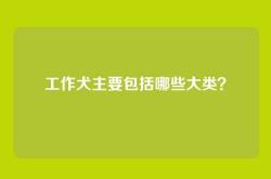 工作犬主要包括哪些大类？
