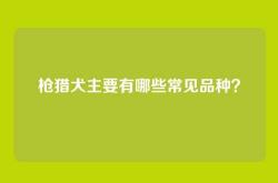 枪猎犬主要有哪些常见品种？