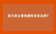 獒犬类主要有哪些常见品种？
