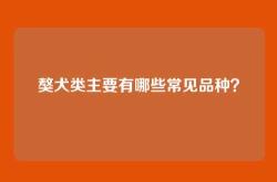 獒犬类主要有哪些常见品种？