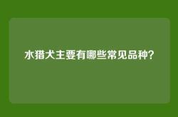 水猎犬主要有哪些常见品种？