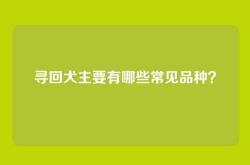 寻回犬主要有哪些常见品种？