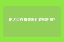 梗犬类性格普遍比较刚烈吗？
