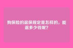 狗保险的退保规定是怎样的，能退多少钱呢？