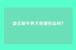 适合新手养犬有哪些品种？